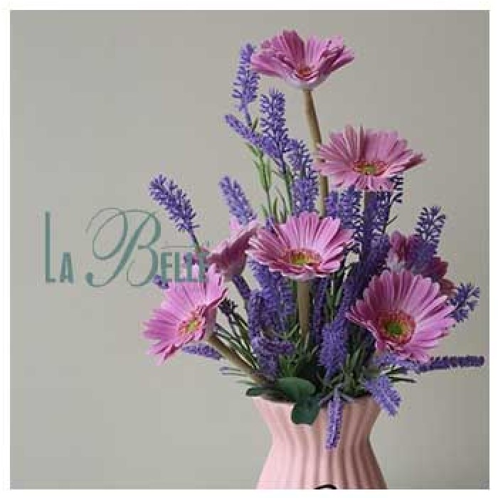 images